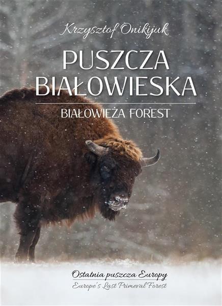 PUSZCZA BIAŁOWIESKA OSTATNIA PUSZCZA EUROPY