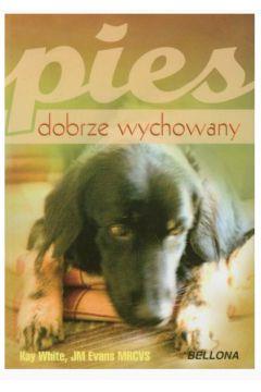 PIES DOBRZE WYCHOWANY
