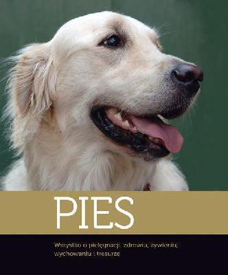 PIES WSZYSTKO O PIELĘGNACJI ZDROWIU ŻYWIENIU WY?