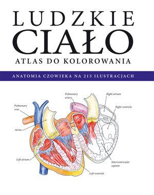 LUDZKIE CIAŁO. ATLAS DO KOLOROWANIA