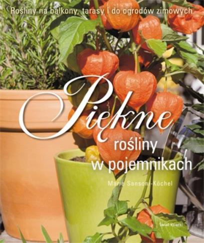 Piękne rośliny w pojemnikach