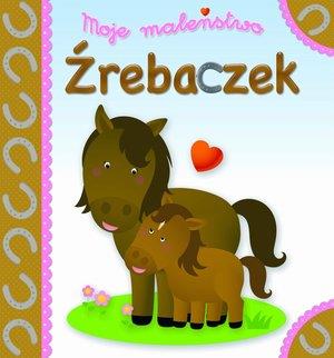 MOJE MALEŃSTWO ŹREBACZEK