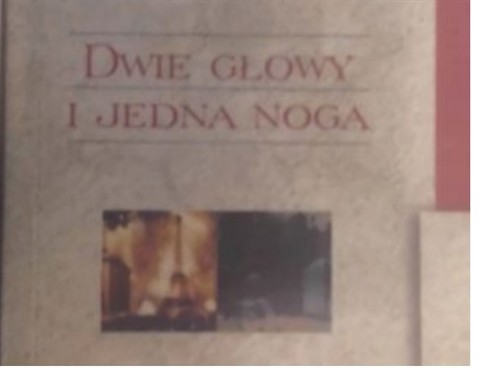 DWIE GŁOWY I JEDNA NOGA - JOANNA CHMIELEWSKA