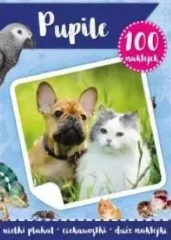 100 NAKLEJEK Z PLAKATEM. PUPILE