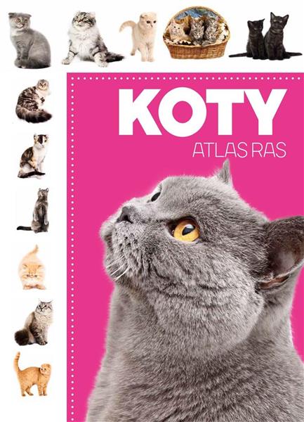 KOTY ATLAS RAS
