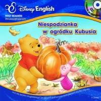 NIESPODZIANKA W OGRÓDKU KUBUSIA. WIETRZNY DZIEŃ.