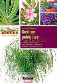 ROŚLINY POKOJOWE