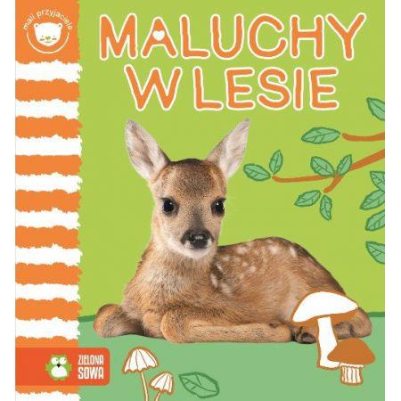 MALI PRZYJACIELE. MALUCHY W LESIE