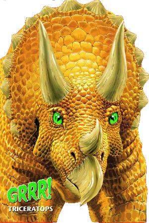 GRRR! TRICERATOPS