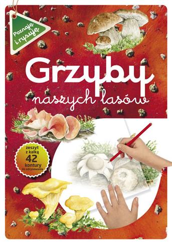 Grzyby naszych lasów. Poznaję i rysuję