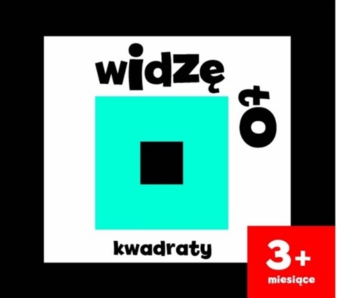 WIDZĘ TO. KWADRATY JOANNA BABULA