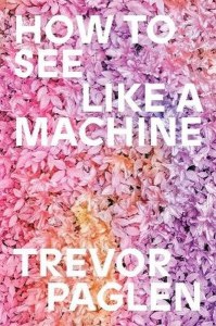 How to See Like a Machine. Images After AI