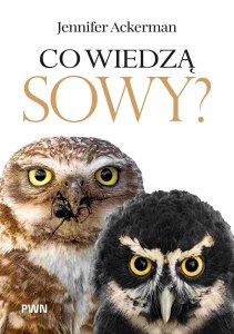 Co wiedzą sowy?