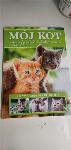MÓJ KOT. FAKT