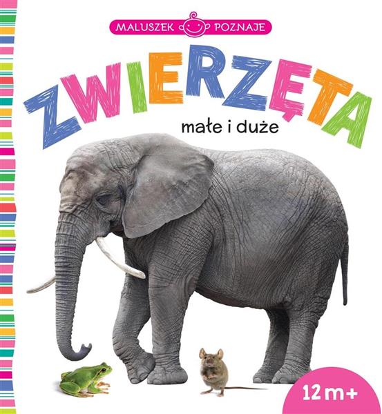 MALUSZEK POZNAJE. ZWIERZĘTA MAŁE I DUŻE