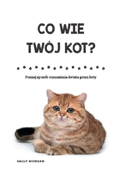 CO WIE TWÓJ KOT?