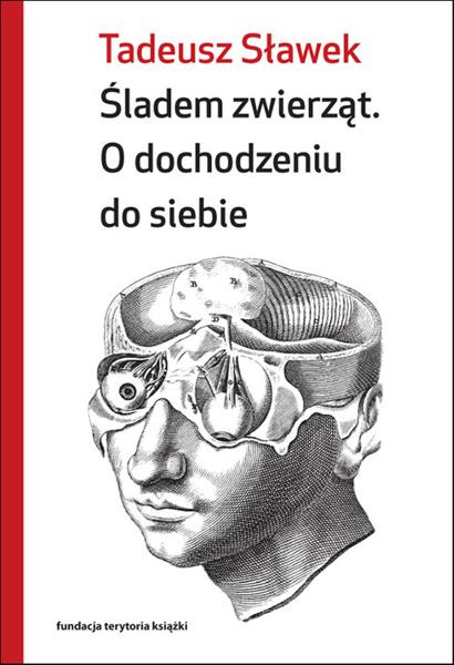 ŚLADEM ZWIERZĄT
