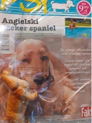 PSY FIGURKA ANGIELSKI COCKER SPANIEL