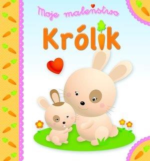 MOJE MALEŃSTWO KRÓLIK
