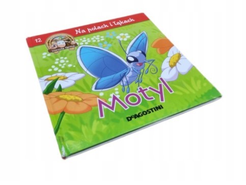 NA POLACH I ŁĄKACH 12 MOTYL