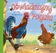 OŚWIADCZYNY KOGUTA