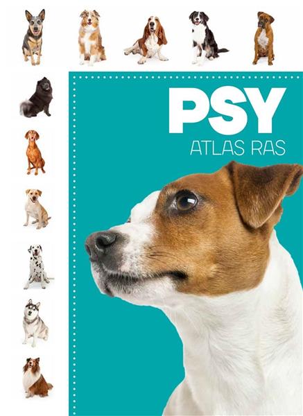 PSY ATLAS RAS
