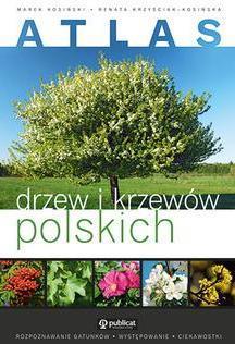 ATLAS DRZEW I KRZEWÓW POLSKICH