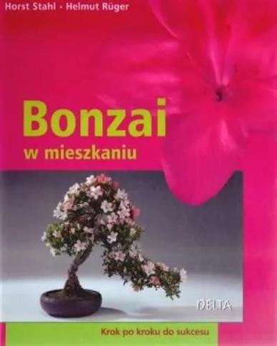 Bonzai w mieszkaniu