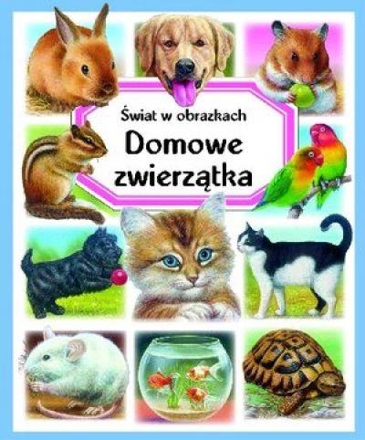 Domowe zwierzątka. świat w obrazkach