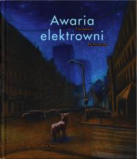 AWARIA ELEKTROWNI