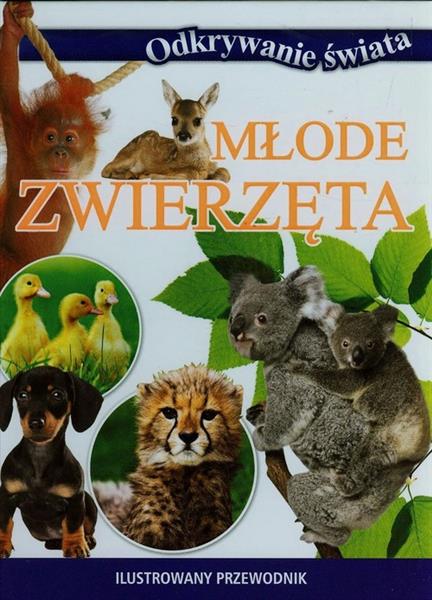 MŁODE ZWIERZĘTA. ODKRYWANIE ŚWIATA
