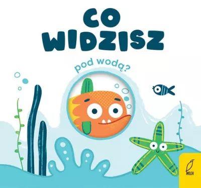 CO WIDZISZ  POD WODĄ