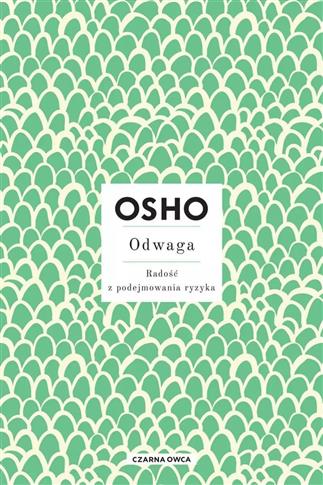 Odwaga. Radość z podejmowania ryzyka