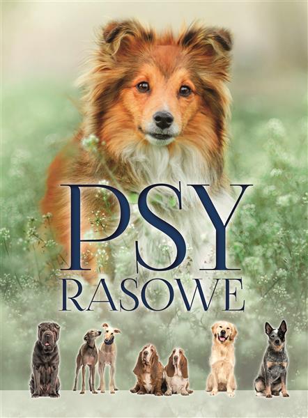 PSY RASOWE