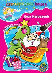 BOŻE NARODZENIE CZARODZIEJSKIE KOLORY