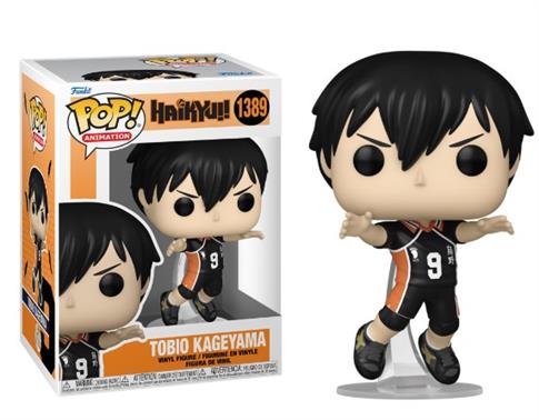 Funko POP! Animation, figurka kolekcjonerska, Haik
