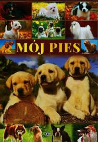 MÓJ PIES