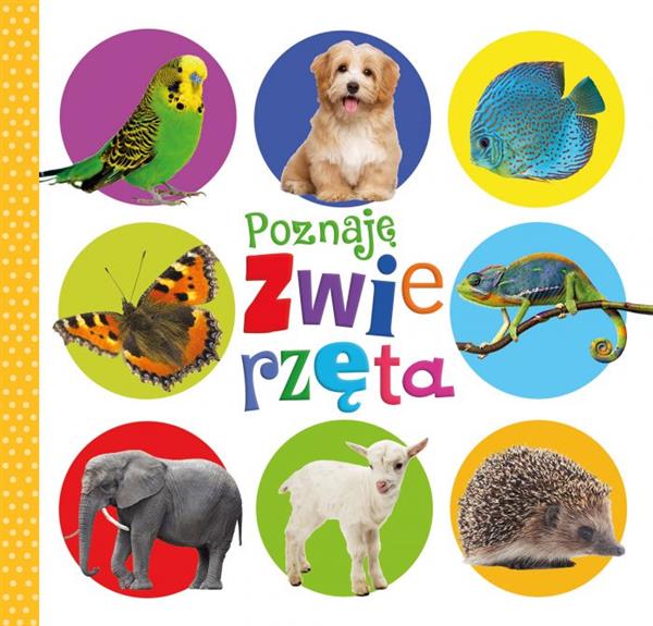 DUŻY PADDED. POZNAJĘ ZWIERZĘTA