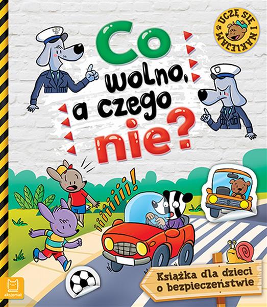 CO WOLNO, A CZEGO NIE. KSIĄŻKA O BEZPIECZEŃSTWIECO