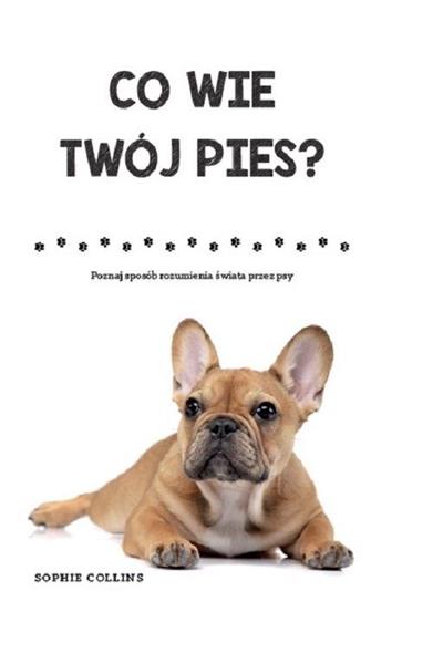 CO WIE TWÓJ PIES?