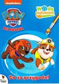 PSI PATROL. WODĄ MALOWANE CZ. 9 CO ZA PRZYGODA!