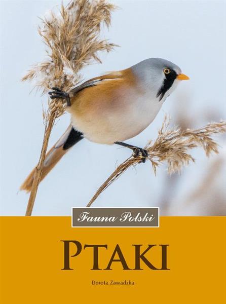 PTAKI. FAUNA