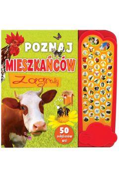 Czyj to odgłos? Jak tu gwarno Książeczka dźwiękowa