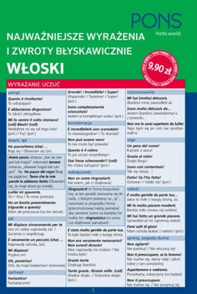 NAJWAŻNIEJSZE WYRAŻENIA I ZWROTY BŁYSKAWICZNIE. WŁ