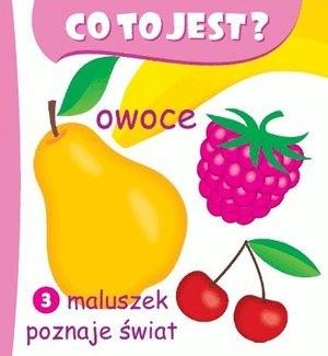 Co to jest? Owoce. Maluszek poznaje świat 3