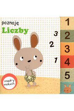 MĄDRY MALUCH POZNAJĘ LICZBY