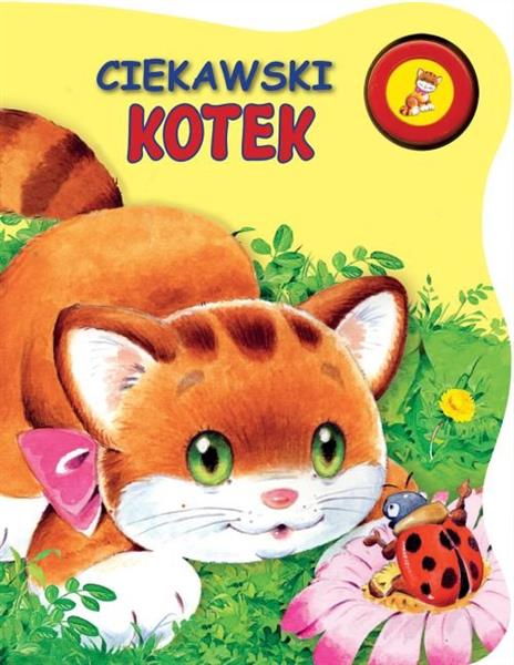 CIEKAWSKI KOTEK