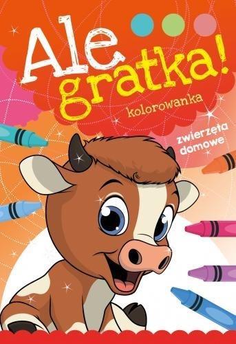 ALE GRATKA! ZWIERZĘTA DOMOWE