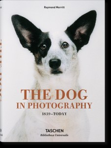 The Dog in Photography 1839-Today wer. angielska