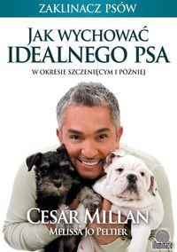 Jak wychować idealnego psa?